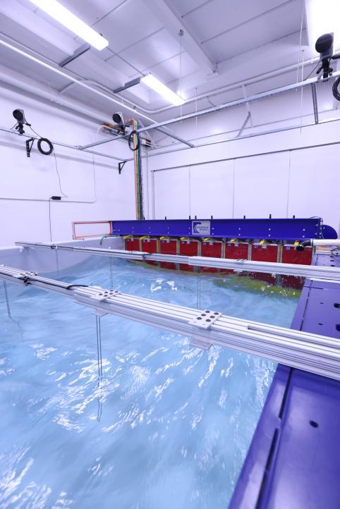 Resistive type wave gauges to measure accurate wave elevation.